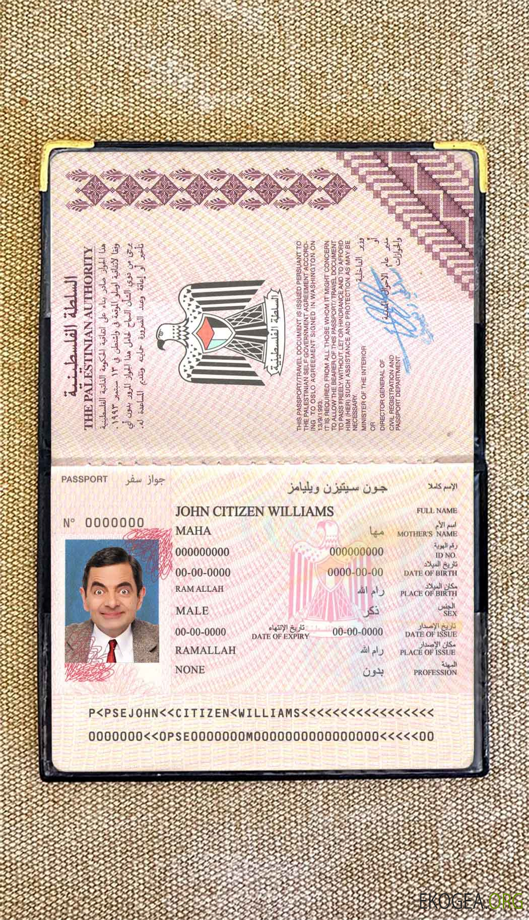 Look photo du passeport palestinien